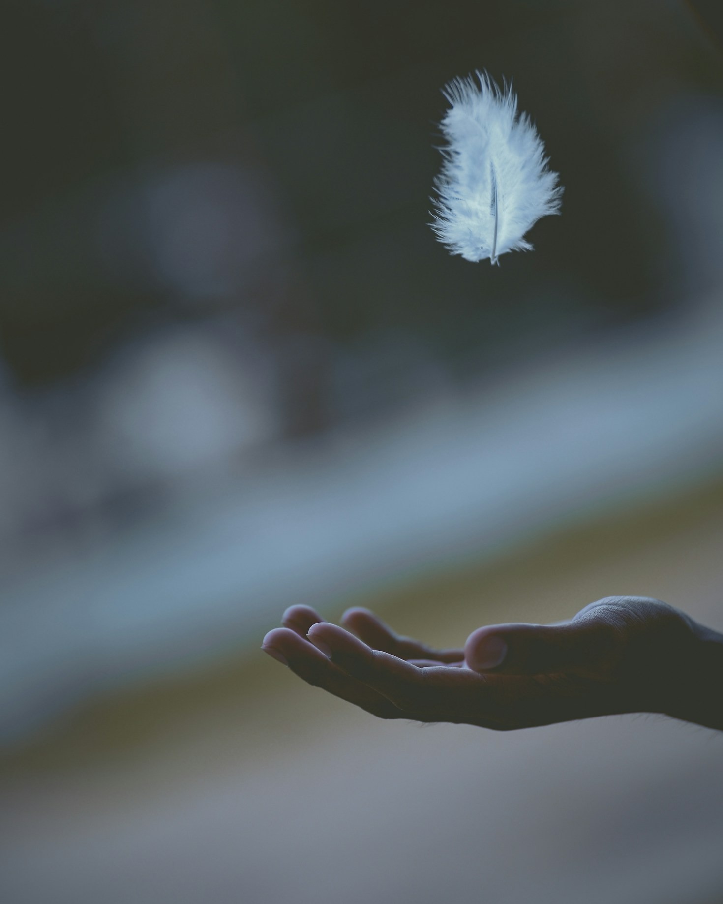 Understanding Trauma: A Guide for Beginners