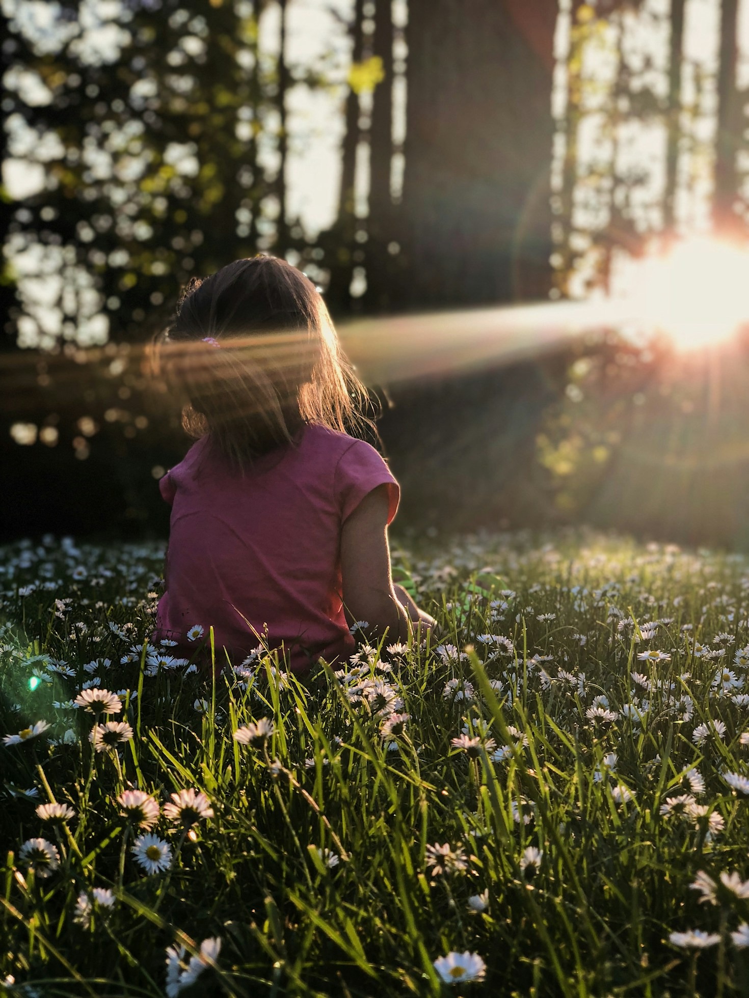 Why Compassion is Key in Trauma Recovery